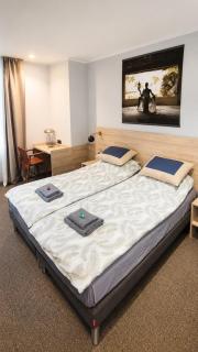 Modern Big Room in Central Vilnius - 3