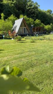 Cabane A-Frame Svinița - 5