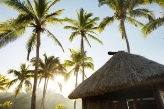 Outrigger Fiji Beach Resort - 2