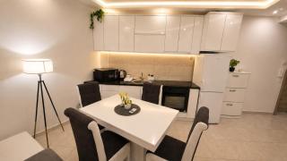 Luxury Apartment Paraćin - River View - 6