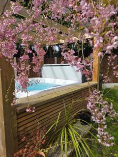 Beautiful House 11 People Hot Tub - 0