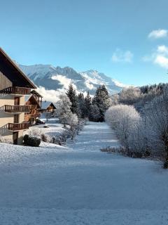 les marmottes - 6