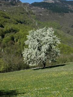 Rooms DVORIŠTA - 7