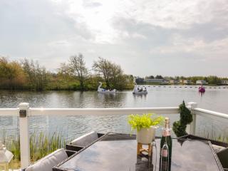 Swan Haven - 9