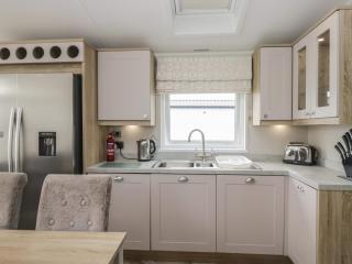 Swan Haven - 1