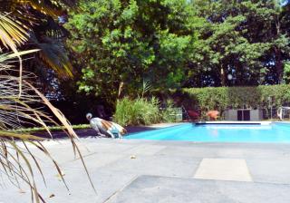 Rural Cottage Retreat, Near Goodwood Festival of Speed, Dog Friendly with Shared Outdoor Pool, gardens & Tennis, Free Parking! Chichester Holiday Properties - 8