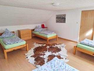 Cozy Apartment near Frankfurt - 3