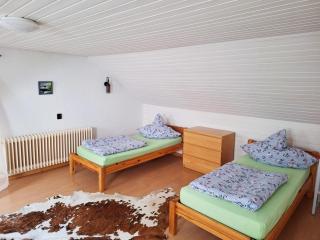 Cozy Apartment near Frankfurt - 2