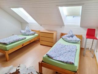 Cozy Apartment near Frankfurt - 5