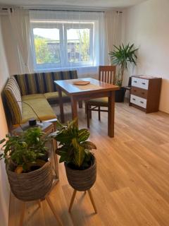 Apartment next the train station Kutna Hora - 4