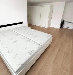 Quiet Spacious Business Suite with On-Site Parking - 2
