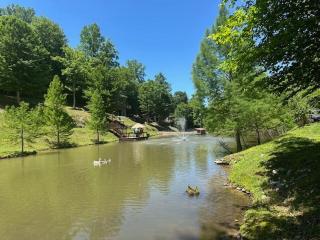 Cozy Cardoness Cabin on Private Fish Pond with Flowing Waterfall and Fountain - 3