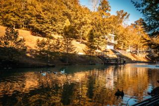 Cozy Cardoness Cabin on Private Fish Pond with Flowing Waterfall and Fountain - 1