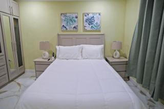 3BR Modern Villa w/ Private Pool & Fire Pit - Saint Philip - 3