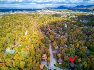 ER202 - Now and Forever Great location! - Close to town! cabin - 9