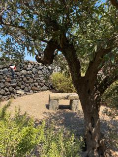 La Kuddia - 7