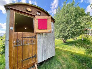 Birch Shepherds Hut - Uk38825 - 8