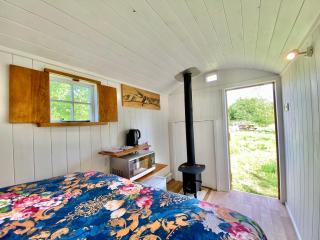 Birch Shepherds Hut - Uk38825 - 9