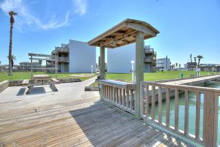 Bay Tree C2 - 3