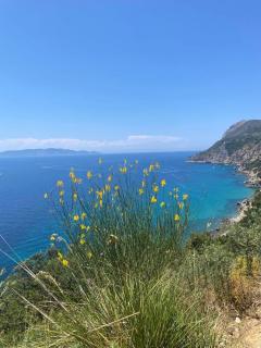 Isola Rossa Villa Bifamiliare Monte Argentario - 5