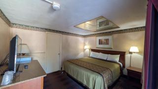 Red Lion Motel Southampton - 7