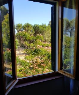 villa ai lecci - 5