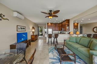Napili Oceanfront 1BR Condo Sleeps 4 - Unit B14 condo - 6