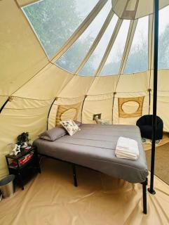 Glamping Stargazer - Diamond River Retreat - 6