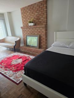 cosy apartment at the center of North york - 8