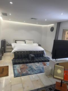 الفرونيه - 3