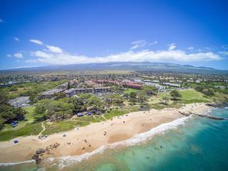 A-303 Haleakala Shores - 9
