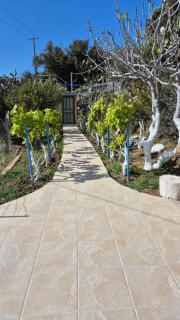 Villa Anna - 8