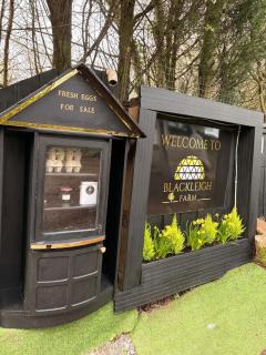 The Nest at Blackleigh Farm - 1