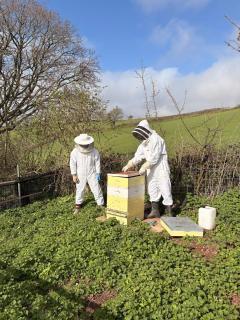 The Nest at Blackleigh Farm - 5