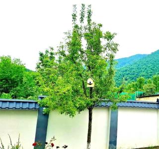 Private Villa with Garden, Fire Pit & Mountain View in Gabala - 1