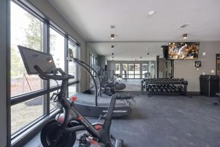 Modern Muse-Odyssey-Full Gym-Heart of Midtown - 6