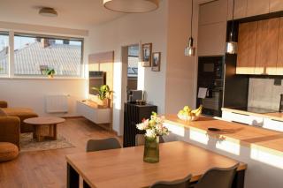 Apartmán Zlatá Kabelka Plzeň - 3