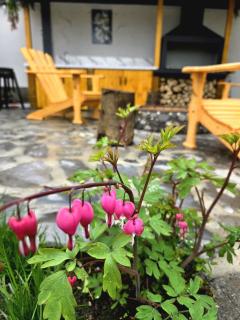 Private Villa with Garden, Fire Pit & Mountain View in Gabala - 8