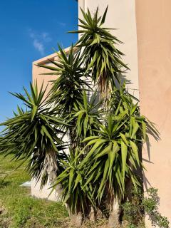 StylishApartmentwithview - 4