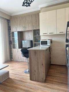 Modern Apartment with city view near Metro - 5