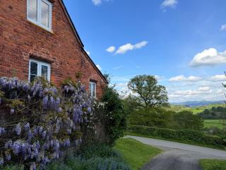 Pandy Barn Berriew - 1