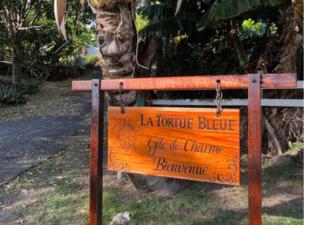 BUNGALOW La Tortue Bleue - 9