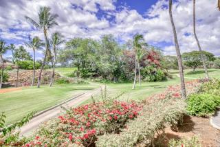 Wailea Grand Champions 87 - 3