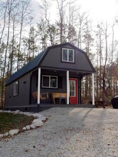 Cozy Lofted Cabin (#3) at Cataract Lake Getaway - 9
