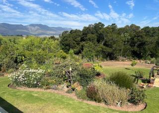 Acacia Country Garden Cottage - 4