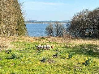 Lakeside Holiday Home with Forest - 4