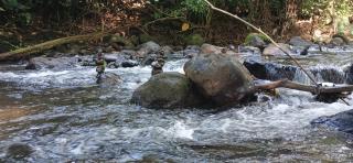 Granja Agua Azul, Wi-FI,AC-WC,Parking,la Fortuna - 5