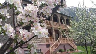 Max Hotel Gogi Alibegashvili - Kazbegi - 2