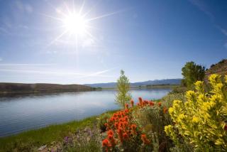Toiyabe Motel - 2