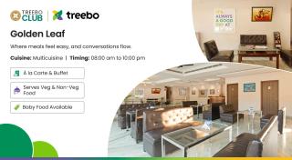 Treebo Golden Leaf DDN - 5